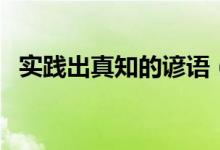 實踐出真知的諺語（諺語精選之實踐真知）