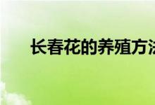 長春花的養(yǎng)殖方法（如何養(yǎng)殖長春花）