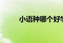 小語種哪個好學(xué)（學(xué)哪個比較好）