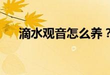 滴水觀音怎么養(yǎng)？用什么土養(yǎng)滴水觀音