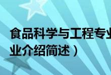 食品科學(xué)與工程專(zhuān)業(yè)介紹（食品科學(xué)與工程專(zhuān)業(yè)介紹簡(jiǎn)述）
