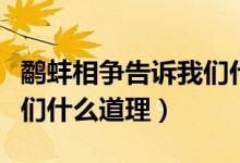 鷸蚌相爭告訴我們什么道理（鷸蚌相爭告訴我們什么道理）