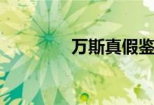 萬斯真假鑒別（教你幾步）