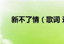 新不了情（歌詞 這首歌的資料是什么）