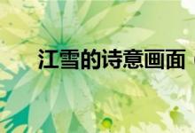 江雪的詩(shī)意畫(huà)面(江雪的詩(shī)意是什么)