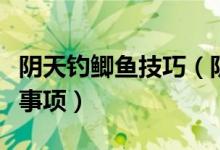陰天釣鯽魚技巧(陰天釣鯽魚的小技巧和注意事項(xiàng))