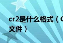 cr2是什么格式（CR2是佳能相機(jī)RAW格式文件）