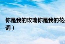 你是我的玫瑰你是我的花是什么歌（你是我的玫瑰花完整歌詞）