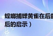 螳螂捕蟬黃雀在后的簡(jiǎn)筆畫(huà)（螳螂捕蟬黃雀在后的啟示）