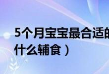 5個(gè)月寶寶最合適的輔食（5個(gè)月寶寶可以吃什么輔食）