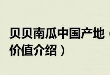 貝貝南瓜中國產(chǎn)地（貝貝南瓜中國產(chǎn)地及營養(yǎng)價(jià)值介紹）