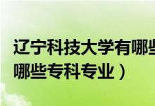 遼寧科技大學有哪些專業(yè)好（遼寧科技大學有哪些?？茖I(yè)）