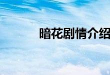 暗花劇情介紹（暗花劇情簡(jiǎn)介）