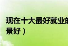 現(xiàn)在十大最好就業(yè)的專業(yè)是什么(哪些專業(yè)前景好)
