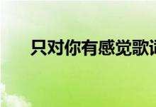 只對你有感覺歌詞（這首歌是誰唱的）