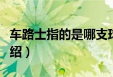 車路士指的是哪支球隊(duì)為什么（切爾西球隊(duì)介紹）