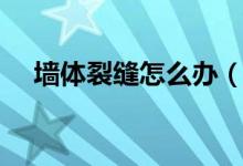 墻體裂縫怎么辦(墻上有裂縫怎么解決)
