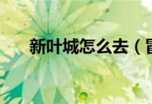 新葉城怎么去（冒險(xiǎn)島新葉城怎么去）