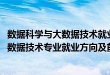 數(shù)據(jù)科學與大數(shù)據(jù)技術(shù)就業(yè)方向和前景（2022數(shù)據(jù)科學與大數(shù)據(jù)技術(shù)專業(yè)就業(yè)方向及前景）