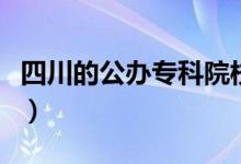 四川的公辦?？圃盒Ｒ嗌俜郑▽W(xué)校怎么選擇）