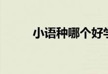 小語種哪個好學(xué)（學(xué)哪個比較好）