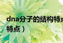 dna分子的結構特點及功能（dna分子的結構特點）