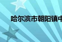 哈爾濱市朝陽(yáng)鎮(zhèn)中心小學(xué)校的地址在哪