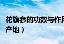 花旗參的功效與作用及食用方法（花旗參的主產(chǎn)地）