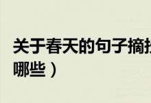關(guān)于春天的句子摘抄（描寫(xiě)春天的優(yōu)美句子有哪些）