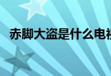 赤腳大盜是什么電視?。ǜ木幾阅牟啃≌f）