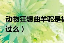 動物狂想曲羊駝是被誰殺的（動物狂想曲你看過么）