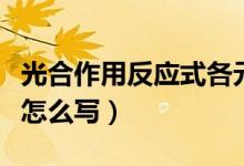 光合作用反應(yīng)式各元素去向(光合作用反應(yīng)式怎么寫)