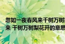 忽如一夜春風(fēng)來(lái)千樹(shù)萬(wàn)樹(shù)梨花開(kāi)表達(dá)了什么（忽如一夜春風(fēng)來(lái) 千樹(shù)萬(wàn)樹(shù)梨花開(kāi)的意思）