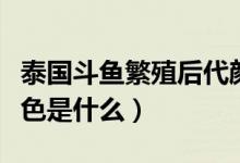 泰國(guó)斗魚繁殖后代顏色（泰國(guó)斗魚繁殖后代顏色是什么）