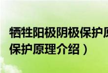 犧牲陽極陰極保護(hù)原理是什么（犧牲陽極陰極保護(hù)原理介紹）