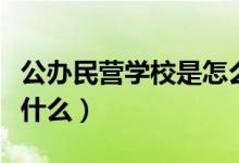 公辦民營學(xué)校是怎么回事（公辦民營學(xué)校是指什么）
