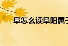 阜怎么讀阜陽屬于哪個?。ǜ吩趺醋x）
