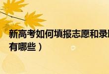 新高考如何填報志愿和錄?。ㄐ赂呖贾驹柑顖蠛弯浫〉淖兓心男?class=