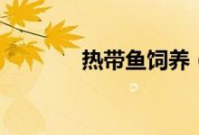 熱帶魚飼養(yǎng)（熱帶魚怎么養(yǎng)）