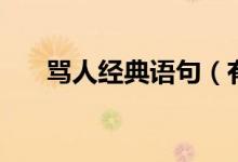 罵人經(jīng)典語句（有哪些罵人經(jīng)典語句）