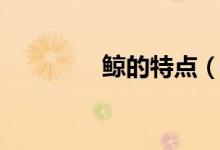 鯨的特點(diǎn)(鯨的特點(diǎn)介紹)