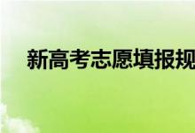 新高考志愿填報(bào)規(guī)則（有哪些填報(bào)技巧）