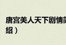唐宮美人天下劇情簡介（唐宮美人天下劇情介紹）