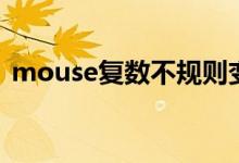 mouse復數(shù)不規(guī)則變化（mouse復數(shù)兩種）