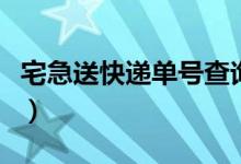 宅急送快遞單號查詢（六個步驟查詢你的快遞）