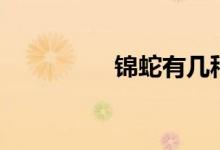 錦蛇有幾種（錦蛇多嗎）