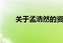 關于孟浩然的資料（孟浩然的介紹）