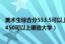 美術(shù)生綜合分553.5可以上哪些大學（2022美術(shù)生高考分數(shù)450可以上哪些大學）