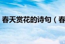春天賞花的詩句（春天賞花的詩句唯美動聽）