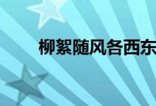 柳絮隨風各西東下兩句(柳絮隨風)